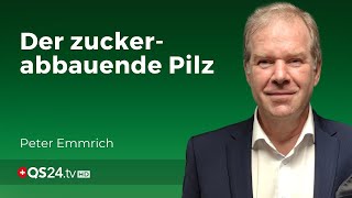 Coprinus Der Pilz der sogar bei Diabetes hilft  Facharzt Peter Emmrich  Naturmedizin  QS24 [upl. by Yul]