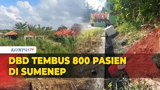 Pasien DBD Sumenep Sentuh 800 Lebih Kasus Terbanyak Anakanak [upl. by Enerual86]