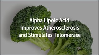 Alpha Lipoic Acid Improves Atherosclerosis and Stimulates Telomerase and Telomeres [upl. by Wenz]