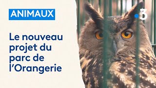 Fini le zoo de lOrangerie découvrez à quoi va ressembler le nouveau parc animalier à Strasbourg [upl. by Adirf288]