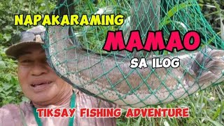 NAPAKARAMING MAMAO SA ILOGTiksay Fishing Adventurefishing [upl. by Saber720]