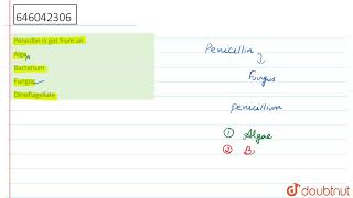 Penicillin is got from an  12  KINGDOM FUNGIMULTICELLULAR DECOMPOSERS  BIOLOGY  DINESH PUB [upl. by Millford]