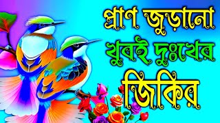 প্রাণ জুড়ানো খুবই দুঃখের জিকির  MuslimTv55  Gojol  Ghazal  Jikir  Zikir  notun Jikir [upl. by Nhtanhoj882]