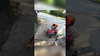 Man in Wheelchair with Four Aggressive Dogs [upl. by Peta]