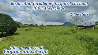 lot427 Residential farmlot 21has 12klmtrs from provencial road 150 sqm cuyapo nueva ecija [upl. by Yendyc]