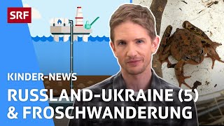 Gespräche zwischen der Ukraine und Russland Erdgas amp Amphibienwanderung  KinderNews  SRF Kids [upl. by Korella987]