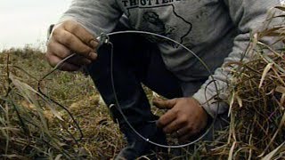 Old School How To Set Up A Snare Trapline For Foxes [upl. by Nabala]