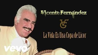 Vicente Fernández  La Vida Es una Copa de Licor Cover Audio [upl. by Inaluahek]