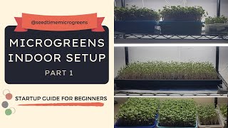 Microgreens indoor setup for beginners  Part 1  Microgreens Business  DIY Microgreens setup [upl. by Arehs307]