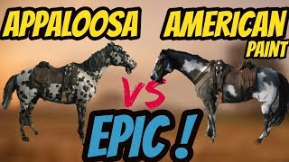 RDR 2 Appaloosa VS American Paint Horse Battle EPIC [upl. by Issi672]