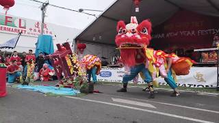 DBQA Lion Dance  St Albans Fest 2020 [upl. by Oileve]