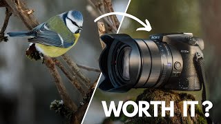 Sony 24600mm SUPER ZOOM no one talks about [upl. by Rosenthal]