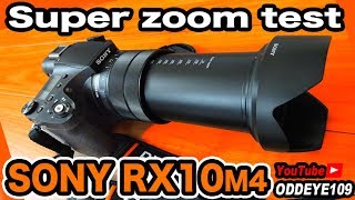 ここまで見える600超望遠 SONY RX10M4 スーパーズームレビュー Cybershot ハイエンドカメラ [upl. by Neehsuan]