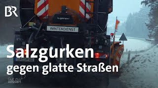 Winterdienst Gurkenwasser statt Streusalz  Gut zu wissen  BR [upl. by Ayrolg]