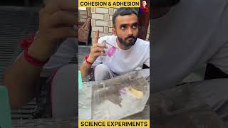 adhesion and cohesion of water  science experiments experiment science physics [upl. by Eimmat]