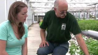 What is Aquaponics [upl. by Esinert]