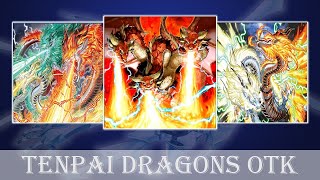 EDOPRO  Tenpai Dragons OTK 🐉 🐲 [upl. by Rizzi776]