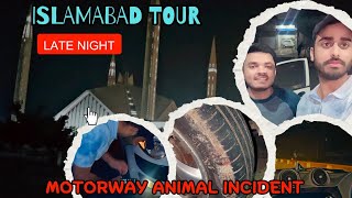 ISLAMABAD TOUR✨  ANIMAL INCIDENT AT MOTORWAY 😐 nightvibes islamabad faisalmosque motorway [upl. by Symon]