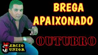 BREGA APAIXONADO [upl. by Pinsky908]