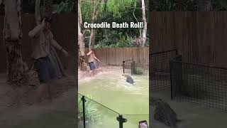 Huge Crocodile Death Roll Hartley’s Crocodile Adventures Cairns Queensland Australia [upl. by Nelleyram]