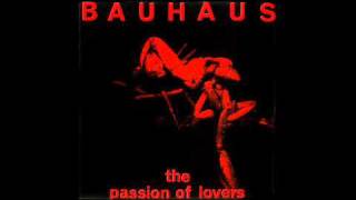 BAUHAUS  The Passion of Lovers [upl. by Samtsirhc363]