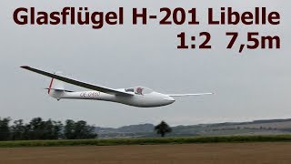 Glasflügel H201Libelle giant scale 12 RC glider 2017 [upl. by Anileuqcaj258]