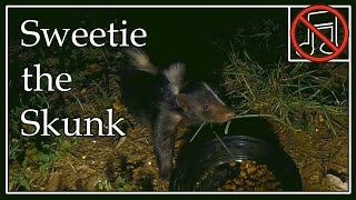 Sweetie the Skunk  No Music [upl. by Usanis]