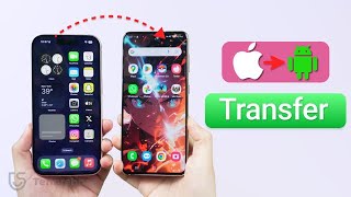 OfficialHow to Transfer Data from iPhone to Android for Free 2024 [upl. by Demeyer394]