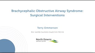 Brachycephalic Obstructive Airway Syndrome Surgical Interventions [upl. by Marthena276]