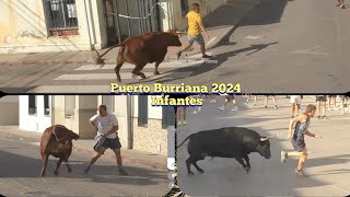 Tarde Hnos Infantes en Las Fiestas del Carmen  Puerto Burriana  21 Julio 2024 ✅🎥 [upl. by Ilse824]