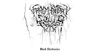 Fragmentary Solid Abyss  Black Electronica Full EP [upl. by Arbrab]