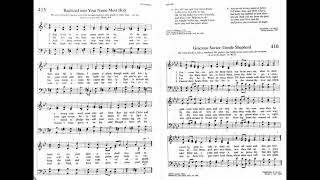 415 Baptized into Your Name Most Holy Neumark Tune Trinity Hymnal [upl. by Notsnarc129]