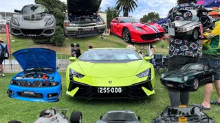 Some highlights of the Geelong revival 2024 812 gt40 Indy car and more [upl. by Howes]