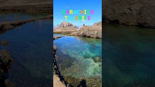 To see in Tenerife the natural pools of Garachico shorts Canary islands Teneriffa [upl. by Zoeller]