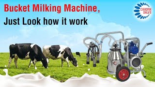 Bucket Milking Machine How it works [upl. by Hekking]