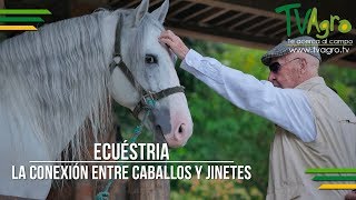 Ecuéstria La Conexión entre Caballos y Jinetes  TvAgro por Juan Gonzalo Angel [upl. by Rianon]