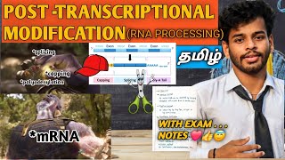 Post transcriptional modificationtamilnotessplicing5 capping 3 polyadenylationtranscription [upl. by Bainbrudge]