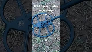 Разделение целей AKA Smart Pulse metaldetecting metaldetector [upl. by Ellinehc]