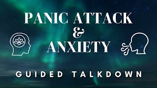 Stop Panic Attacks FAST With This Guided Talk Down [upl. by Fredelia900]