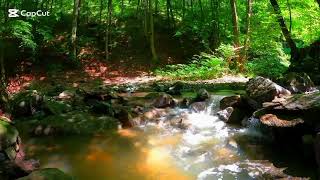 Forest River Nature Sounds  Relaxing Forest river amp birds singing  Nature Sounds for Deep Sleep [upl. by Ihtac]