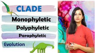 Phylogenetic tree I Clade I Monophyletic I Paraphyletic I Polyphyletic II Evolution [upl. by Clari]