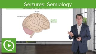 Seizures Semiology  Clinical Neurology [upl. by Adne]