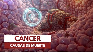 ¿Cómo muere la gente de cáncer [upl. by Juetta]