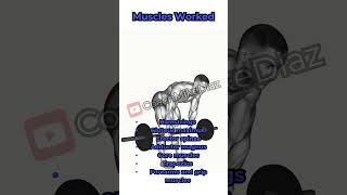 Barbell STIFF LEG Deadlift for MUSCLE GAINS  SLDL [upl. by Cicely]