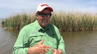 TVs Ron Schara Impressed with Louisiana Saltwater Fishing [upl. by Nilde]