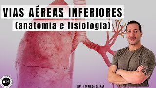 Vias Aéreas Inferiores anatomia e fisiologia [upl. by Nylauqcaj48]