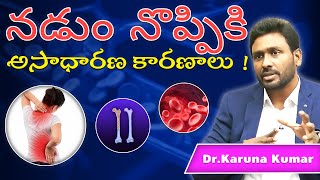 Reasons for Back Pain in Telugu  Dr Karuna Kumar [upl. by Llenehc947]