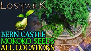 LOST ARK VERN CASTLE ALL MOKOKO SEED LOCATIONS [upl. by Atteselrahc]