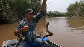 NA PESCARIA ACONTECE DED TUDOpescarias riomiranda culinária de pescarias pessoas e Blogs [upl. by Cilo]