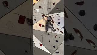 Fearless little Chinese girl climbs 50m wall in mall shorts [upl. by Gussi]